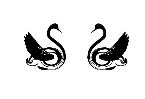 Лебеді 2